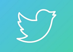 Twitter đối diện án phạt 250 triệu USD vì vi phạm quyền riêng tư