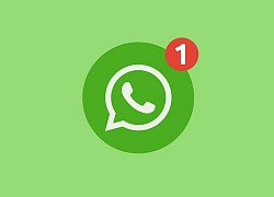 WhatsApp ra mắt công cụ mới giúp phát hiện tin tức giả mạo