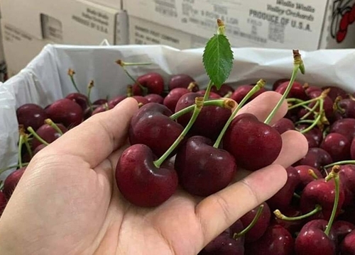 Cherry Mỹ giảm giá một nửa