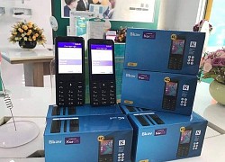 Thông tin bán ra điện thoại cơ bản có 4G của Bkav gây chú ý