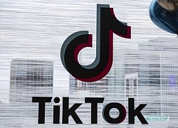 TikTok đang bị sốc vì lệnh cấm của Tổng thống Donald Trump, dọa kiện Mỹ