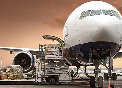 Từ Vietnam Airlines đến ACV đều lỗ nặng nhưng một số công ty logistics hàng không vẫn sống khỏe lãi cao