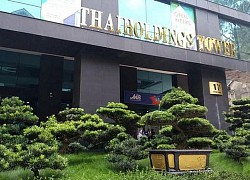 Vì sao Thaiholdings muốn thâu tóm 81,6% vốn Thaigroup thay vì 59%?