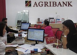 Agribank tạo sức bật mới