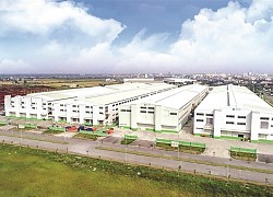 An Phát Holdings xanh màu công nghệ