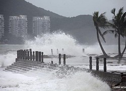 Bão Mekkhala sắp đổ bộ vào Trung Quốc