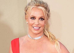 Britney Spears chi 1,2 triệu USD mỗi năm giải quyết kiện tụng