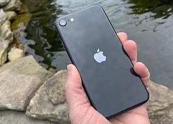 Chiếc iPhone này mạnh hơn iPhone XS mà người dùng iPhone 7 nên "lên đời"