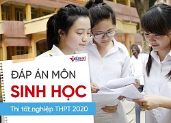 Đáp án môn Sinh học thi tốt nghiệp THPT 2020 của Bộ GD-ĐT