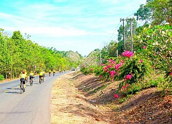 Dự án Khu du lịch sinh thái và safari Vườn Xoài II: Tạo điểm nhấn cho Đồng Nai