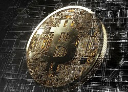 Giá Bitcoin hôm nay ngày 12/8: Thị trường tiền ảo rực lửa, Bitcoin rớt giá gần 500 USD/BTC