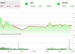 Giao dịch chứng khoán chiều 11/8: HNX bay cao, VN-Index ngắt chuỗi 6 phiên tăng liên tiếp