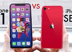 HOT: Nhiều mẫu iPhone đang giảm giá mạnh