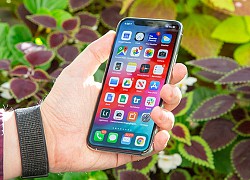 iFan yên tâm, iPhone 12 vẫn sẽ ra mắt đúng lịch