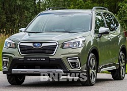 Làm sao khắc phục hiện tượng đèn báo kiểm tra động cơ trên xe Subaru Forester?