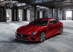 Maserati bổ sung đội hình Trofeo mạnh mẽ nhất bằng Ghibli, Quattroporte mới