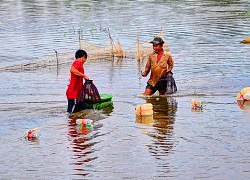 Mùa đặt trúm bắt lươn đồng tươi rói