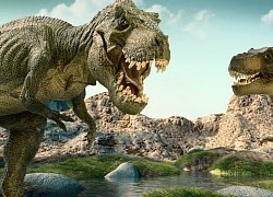 Phát hiện loài khủng long mới có cùng họ hàng với khủng long bạo chúa T-rex