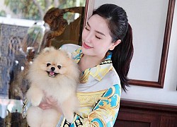 Sao Việt mặc đồ bộ ra đường: Bảo Thy, Lệ Quyên gây giật mình, xuề xòa nhất cũng vài chục triệu