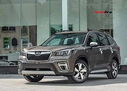 Subaru nói gì về lỗi &#8216;cá vàng&#8217; trên xe Forester tại Việt Nam?