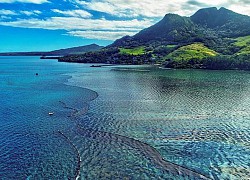 Thảm họa tràn dầu đe dọa nghiêm trọng sinh thái biển Mauritius