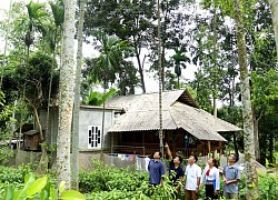 Vùng đất mọc loài cây ví như cây lộc, cao chót vót, ra thứ quả bán như giá vàng, dân xem như bảo bối