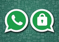 WhatsApp sẽ sớm hỗ trợ nhiều điện thoại