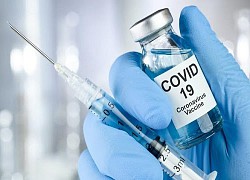 WHO đang thảo luận với Nga về vaccine COVID-19 vừa được phê duyệt