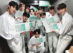 Xác nhận thao túng 3 TTS vào đội hình Wanna One và I.O.I, nhà sản xuất 'Produce 101' dự bị phạt 2,3 tỷ đồng