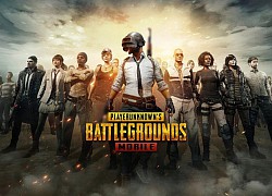 YouTuber PUBG Mobile nổi tiếng xóa TikTok sau khi xem màn "gây war" thô thiển của fan "Lửa Chùa"