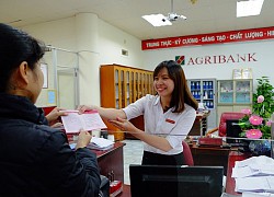 Agribank đẩy mạnh ứng dụng công nghệ thanh toán các dịch vụ công