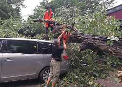 Trung Quốc chật vật đối phó mưa lũ