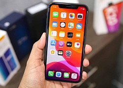 Apple tung bản cập nhật iOS 13.6.1 sửa lỗi thông báo phơi nhiễm Covid-19