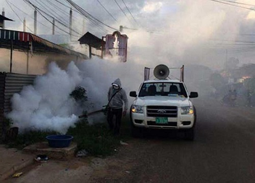 Chikungunya nguy hiểm đến mức nào?