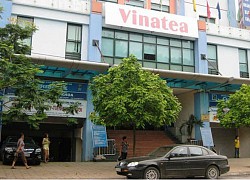 Cổ đông yêu cầu Vinatea giải trình hàng chục tỷ đồng thua lỗ khi nhận bàn giao vốn cổ phần từ nhà nước