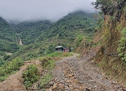 Công ty khai thác vàng trong nước đang làm ăn như thế nào