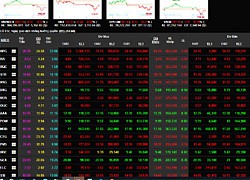 Giao dịch chứng khoán 14/8: Bán mạnh trong giá thấp, VN-Index mất điểm