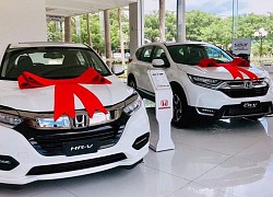 Doanh số ô tô Honda tụt dốc không phanh tại Việt Nam