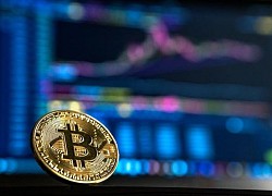 Giá Bitcoin hôm nay 14/8: Thị trường nổi sóng, Bitcoin nhảy múa trên 11.700 USD