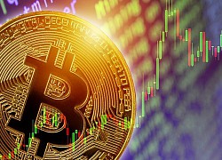 Giá bitcoin hôm nay 14/8: Tiếp tục tăng nhe, hiện ở mức 11.789,38 USD