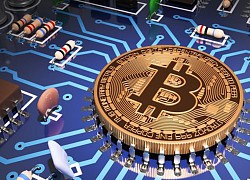 Giá Bitcoin hôm nay ngày 14/8: Thị trường hồi phục, giá Bitcoin tăng trở lại về mức 11.775 USD/BTC