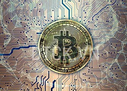 Giá Bitcoin hôm nay ngày 15/8: Giá Bitcoin đi ngang, giao dịch ở mức 11.778 USD/BTC