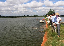 Hải Dương: Dạy nghề + hỗ trợ lập mô hình liên kết, xuất hiện nhiều nông dân giỏi