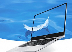 Honor MagicBook 14 SE ra mắt Ryzen 5 3500U, giá 431 USD