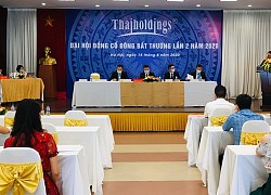 Thaiholdings thông qua tăng vốn lên 3.500 tỷ đồng để mua 82% cổ phần Thaigroup