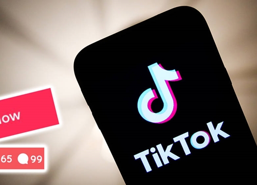 'Những follower của tôi trên TikTok đều là giả'