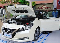 Nissan Nhật Bản dự báo lỗ ròng 6,3 tỷ USD trong năm nay