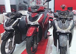 Bảng giá Honda SH mới nhất trong tháng 8/2020