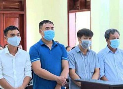 Thanh Hóa: "Hô biến" lúa thành hoa ly, 5 cựu cán bộ cùng nhau lĩnh án