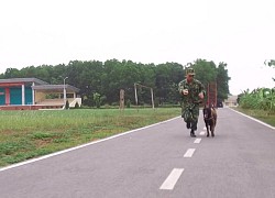 Chó nghiệp vụ bật tường 2 m, chạy 3 km chuẩn bị cho Army Games 2020